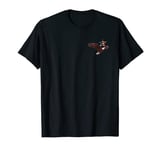 The Flying Bald Eagle Carries the US Flag Star Freedom T-Shirt