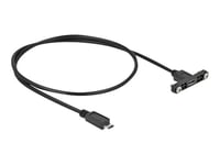 Delock - Usb-Förlängningskabel - Mikro-Usb Typ B (Hona) Kan Monteras På Panel Till Mikro-Usb Typ B (Hane) - Usb 2.0 - 50 Cm - Svart