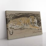 Big Box Art Study of A Tiger Vol.1 by John Macallan Swan Canvas Wall Art Print Ready to Hang Picture, 76 x 50 cm (30 x 20 Inch), Grey, Green, Green