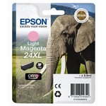 EPSON Cartridge 24XL - Light Magenta - 9,8ml - 740 sidor