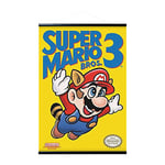 Poster et Kit de Fixation | Super Mario Bros 3, 61 x 91,5 cm
