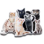Jacklin F Custom Pet Pillow, Personalized Pet Dog Cat Photo DIY Molding 3D Shaped Pillow, Double-Sided Cat Pillow for Distinct Gift, Thanksgiving, Valentine’s Day, Halloween Home Bedroom Decoration