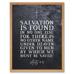 Acts 4:12 Salvation is Found In No One Else Christian Bible Verse Quote Scripture Typography Art Print Framed Poster Wall Decor 12x16 inch