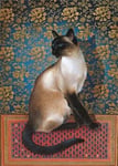 Phuan Chinese Carpet - Blank Greeting / Birthday Card - Chocolate Siamese Cat