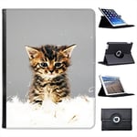 Fancy A Snuggle Cute Kitten Cat For Apple iPad 2, 3 & 4 Faux Leather Folio Presenter Case Cover Bag with Stand Capability