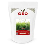 GEO Groddfrön Vetegräs 600g, 600 gram