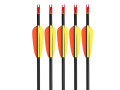 EK Kompositpilar 30" 5-pack för Pilbåge