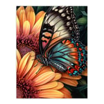 Butterfly On Daisy Flowers Pencil Spring Bloom With Insect Macro Close-Up Wing Pattern Vibrant Nature Colourful Bright Floral Modern Artwork Unframed