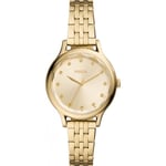 Fossil Ladies Laney Watch BQ3863