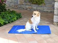 Italian Bed Linen Sogni e Capricci Pets, Cooling mat, Blue, 50x90 cm