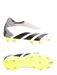 Predator Accuracy.3 Laceless Firm Ground Boots Sport Sports Shoes Football Boots White Adidas Performance