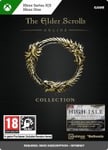 The Elder Scrolls Online Collection: High Isle Collector’s Edition OS: Xbox one + Series X|S