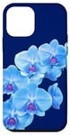 Coque pour iPhone 12 mini Magnifique orchidée phalaenopsis bleue en forme de mania