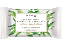 Luba_Refreshing Aloe Vera Wet Wipes 15Pcs