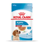 Royal Canin Medium Puppy i sås - 40 x 140 g