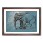Big Box Art Study of an Elephant by John Macallan Swan Framed Wall Art Picture Print Ready to Hang, Walnut A2 (62 x 45 cm)