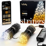 Twinkly Strings 250 White LED Light String, LED Light String for in- and Outdoor, Smart White LED Lights from Warm to Cool, HomeKit, Alexa, Google Home Compatible, IP44, App Control, Black Wire, 20m