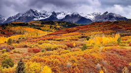 JWJW_Jigsaw Puzzle 300 Pieces Adult Jigsaw Puzzle Classic Jigsaw Family Skill Game Children Jigsaw Puzzle Gift Mountain Autumn Landscape (T326)