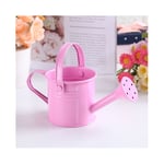 Unbranded (Pink) Mini Flower Kettle Water Spraying Metal Pot Watering Bottle Home Garden Decor