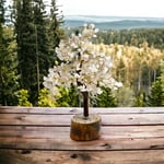 Kristallträd - Livets Träd brun stam - Bergkristall