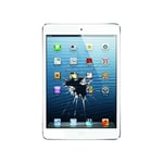 iPad 2/3/4 Glasbyte, Vit