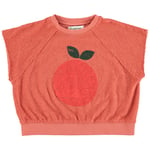 Piupiuchick Kortärmad Sweatshirt Med Tryck Terracotta | Orange | 24 months