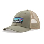 Patagonia P-6 Logo LoPro Trucker Hat Low Crown, caps Garden Green 38283 GDNG 2020