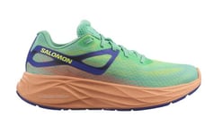 Salomon Aero Glide løpesko dame Cockatoo/Cantaloupe/Surf The Web L47279900 41 1/3 2024