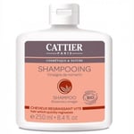 Shampooing cheveux gras, Vinaigre de romarin