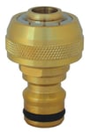 C.K G7904 Male Hose Connector, Gold, 1/2-Inch