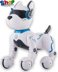 Quality Top  Race  Remote  Control  Robot  Dog  Toy  for  Kids ,  Interactive &