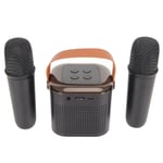  Speaker 2 Microphone Set Karaoke Machine Portable Stereo RGB Light For