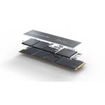 SSD Interne Solidigm P44 Pro SSDPFKKW010X7X1 1000Go SSD M.2 2280 3D NAND 7000Mo/s Noir