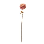 Bloomingville Krysantemum Konstgjord Blomma Rosa