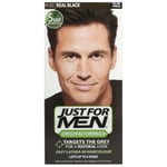 Just For Men H55 Real Black Hair Colour