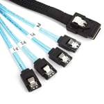 Mini SAS 36Pin (SFF-8087) Male to 4 x SATA 7Pin Female Target Cable 1m