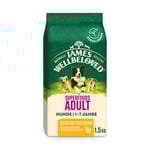James Wellbeloved Superfoods Adult Dog Hypoallergenic med kalkon, grönkål & quinoa - 1,5 kg