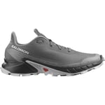 Salomon Alphacross 5, Trailsko, Herr, Grå