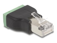 Delock - Nätverkskort - Rj-45 (Hane) Till 4 Stifts Terminalblock (Hona) - Svart, Grön
