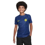 Nike Unisex Kids Top Inter Ynk DF Acdpr Sstopinfkpm, Lyon Blue/Black/Vibrant Yellow, DX3629-408, L