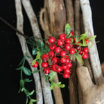 Artificial Berry Holly Branch For Diy Home Christmas Tree Decor Red