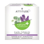 ATTITUDE Lavender & Eucalyptus Natural Air Purifier - 227g