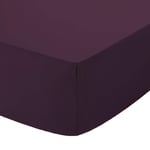 British Home Bedding Percale Extra Deep 16"/40cm Fitted Sheet (Plum, 4ft)