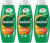 Radox Feel Refreshed 2in1 Shower Gel Eucalyptus & Citrus 225ml x 3