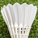 Vermont Elite 2000 Badminton Shuttlecocks (12 Pack) | Fully-Feathered Skirt