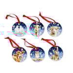 Wrendale Design Nativity Decorations Set om 6st juldekorationer