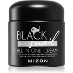 Mizon Black Snail All in One face cream with snail secretion filtrate 90% 75 ml