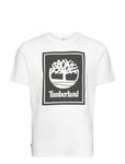 Short Sleeve Tee White Timberland