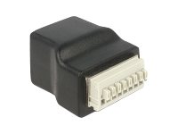 Delock - Nätverkskort - 8-Stifts Terminalblock (Hona) Till Rj-45 (Hona)