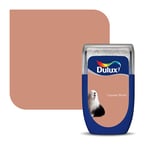 Dulux Walls & Ceilings Tester Paint, Copper Blush, 30 ml